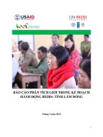 BÁO CÁO PHÂN TÍCH GIỚI TRONG KẾ HOẠCH HÀNH ĐỘNG REDD+ TỈNH LÂM ĐỒNG