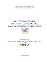 BẢN CÔNG BỐ THÔNG TIN BÁN ĐẤU GIÁ CỔ PHẦN LẦN ĐẦU CÔNG TY TNHH MTV CẢNG QUY NHƠN
