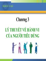 Chương 3 lý thuyết về hành vi của người tiêu dùng 