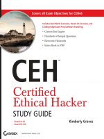 Certified ethical hacker study guide 