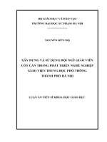 XÂY DỰNG VÀ SỬ DỤNG ĐỘI NGŨ GIÁO VIÊN CỐT CÁN TRONG PHÁT TRIỂN NGHỀ NGHIỆP GIÁO VIỆN TRUNG HỌC PHỔ THÔNG THÀNH PHỐ HÀ NỘI