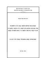 NGHIÊN CỨU ĐẶC ĐIỂM HÌNH THÁI HỌC  VÀ KIỂU NHÂN CỦA MỘT SỐ GIỐNG HÀNH, TỎI, KIỆU Ở MIỀN BẮC VÀ MIỀN TRUNG VIỆT NAM
