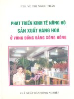 Cuốn sách phát triển kinh tế nông hộ sản xuất hàng hóa ở vùng đồn bằng sông Hồng