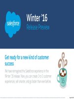 Winter 16 release preview 