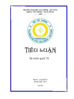 TIỂU LUẬN tài CHÍNH QUỐC tế 