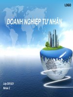 Pháp luật kinh tế ( doanh nghiệp tư nhân ) 