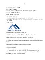 Mẫu BCTT công ty TNHH khai thác chế biến khoáng sản núi Pháo