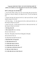 SINH sản ở THỰC vật với vấn đề đưa một số GIỐNG cây TRỒNG có GIÁ TRỊ KINH tế vào sản XUẤT tại điện BIÊN 