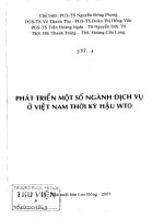 Sách phát triển một số ngành dịch vụ ở việt nam thời kỳ hậu WTO