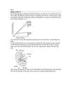 HYUNDAI UNIVER 2010 hệ THỐNG ĐỘNG cơ cơ KHÍ HT làm mát két nước mô tả 