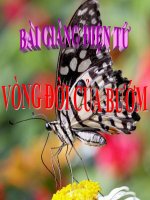 Bài giảng điện tử đề tài Vòng đời của bướm