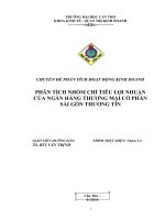 PHÂN TÍCH NHÓM CHỈ TIÊU LỢI NHUẬN CỦA NGÂN HÀNG THƯƠNG MẠI CỔ PHẦN SÀI GÒN THƯƠNG TÍN