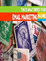 This is what drives your email marketing machine 
