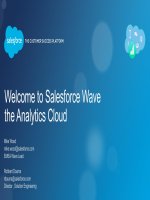 Welcome to salesforce wave the analytics cloud 