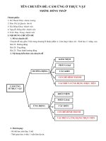 Cảm ứng ở thực vật   đồng tháp 