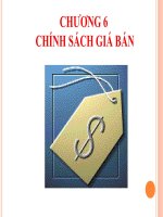 Chương 6 chính sách giá bán 