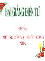 Bài giảng điện tử đề tài Một số con vật nuôi trong nhà