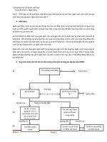 Tiểu luận tài chính tiền tệ 1 