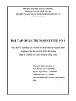 Tiểu luận môn quản trị marketing mục tiêu và các chỉ tiêu cho hoạt động trong một năm của phòng phát triển thị trường công ty cổ phần bia rượu sài gòn đồng xuân