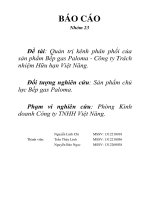 Tiểu luận môn quản trị marketing quản trị kênh phân phối của sản phẩm bếp gas paloma công ty tnhh việt năng