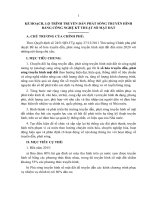 KẾ HOẠCH, LỘ TRÌNH TRUYỀN DẪN PHÁT SÓNG TRUYỀN HÌNH BẰNG CÔNG NGHỆ KỸ THUẬT SỐ MẶT ĐẤT