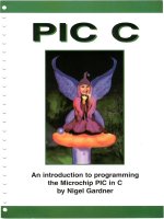 PIC c an introduction to programming the microchip PIC in c 