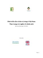 Phát triển sắn và bảo vệ rừng ở Việt Nam: Thực trạng và ý nghĩa về chính sách