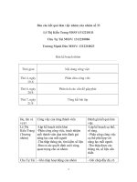 Tiểu luận môn quản trị marketing xây dựng mục tiêu và hệ thống chỉ tiêu chỉ số cho hoạt động trung tâm tiếng anh lena năm 2016