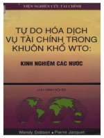 Sách tự do hóa dịch vụ tài chính trong khuôn khổ WTO kinh nghiệm các nước