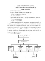 Tiểu luận môn quản trị marketing kế hoạch phát triển thị trường cổ phần đá ốp lát và xây dựng hà nội