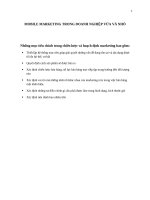 Tiểu luận môn quản trị marketing mobie marketing trong doanh nghiệp vừa và nhỏ
