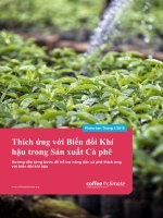 Thích ứng với Biến đổi Khí hậu trong Sản xuất Cà phê