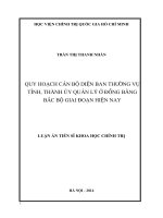 QUY HOẠCH CÁN BỘ DIỆN BAN THƯỜNG VỤ TỈNH, THÀNH ỦY QUẢN LÍ Ở ĐỒNG BẰNG BẮC BỘ GIAI ĐOẠN HIỆN NAY
