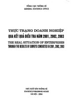 Sách thực trạng doanh nghiệp qua kết quả điều tra năm 2001 2002 2003