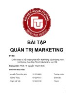 Tiểu luận môn quản trị marketing chiến lược và kế hoạch phát triển thị trường của thương hiệu trà ôlong cao cấp tâm châu tại khu vực hà nội