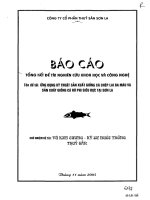 Ứng dụng kỹ thuật sản xuất giống cá chép lai ba máu và sản xuất giống cá rô phi siêu đực tại Sơn La