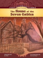 tác phẩm văn học của  Nathaniel hawthorne  the house of the seven gables