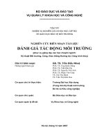 tóm tắt giáo trình ĐTM