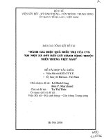 Đánh giá hiệu quả điều trị của CV8 tại một xã sốt rét lưu hành nặng thuộc miền Trung Việt Nam