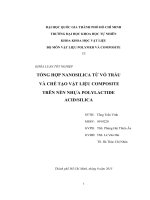 Khóa luận tốt nghiệp Tổng hợp Nanosilica từ vỏ trấu và chế tạo vật liệu Composite trên nền nhựa Polylactide AcidSilica