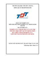 Nghiên cứu ảnh hưởng của giá trị thương hiệu tới quyết định chọn mua điện thoại di động của giới trẻ tại Thành Phố Hồ Chí Minh