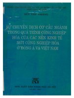 Sự chuyển dịch cơ cấu ngành trong quá trình công nghiệp hóa của các nền kinh tế mới công nghiệp hóa ở đông á và việt nam