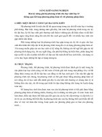 SKKN ung dung ham so giai he phuong trinh