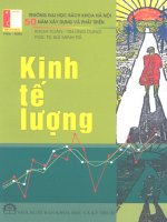 Giáo trình kinh tế lượng
