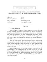 NGHIÊN CỨU NỘI DUNG VÀ GIẢI PHÁP PHÁT TRIỂN NGUỒN NHÂN LỰC CỦA HỆ THỐNG THỐNG KÊ TẬP TRUNG