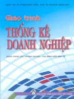 Giáo trình thống kê doanh nghiệp