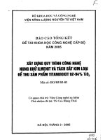 Xây dựng quy trình nung khử ilmenit và tách sắt kim loại để thu sản phẩm titandioxit 9294