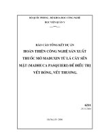 Hoàn thiện công nghệ sản xuất thuốc mỡ Maduxin từ lá cây sến mật (Madhuca pasquieri) để điều trị vết bỏng, vết thương