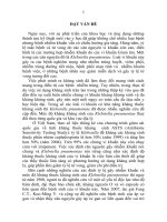 Nghiên cứu sự phân bố, mức độ kháng kháng sinh, tỷ lệ mang gen magA, rmpA ở các chủng Klebsiella pneumoniae phân lập được tại Bệnh viện Bệnh Nhiệt đới Trung ương