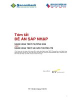 ĐỀ ÁN SÁP NHẬP NGÂN HÀNG TMCP PHƯƠNG NAM VÀO NGÂN HÀNG TMCP SÀI GÒN THƯƠNG TÍN